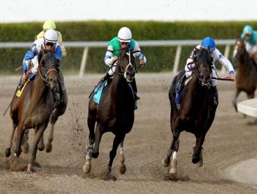 Timeform's US team have found three horses worth backing